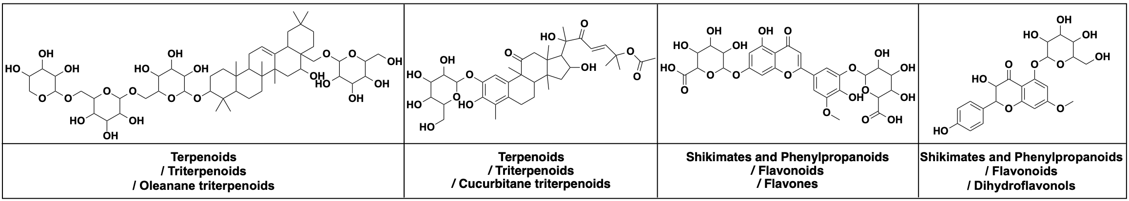 Representative NPGen molecules